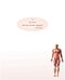 دانلود کتاب BD Chaurasia’s Human Anatomy: Volume 2, 8th Edition2019 صفحه 5