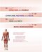 دانلود کتاب BD Chaurasia’s Human Anatomy: Volume 2, 8th Edition2019 صفحه 6