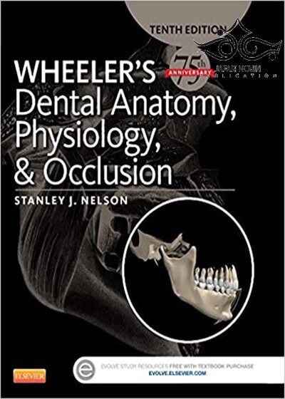 Wheeler's Dental Anatomy, Physiology and Occlusion فیزیولوژی و آناتومی ویلر