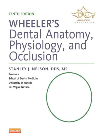 Wheeler's Dental Anatomy, Physiology and Occlusion فیزیولوژی و آناتومی ویلر