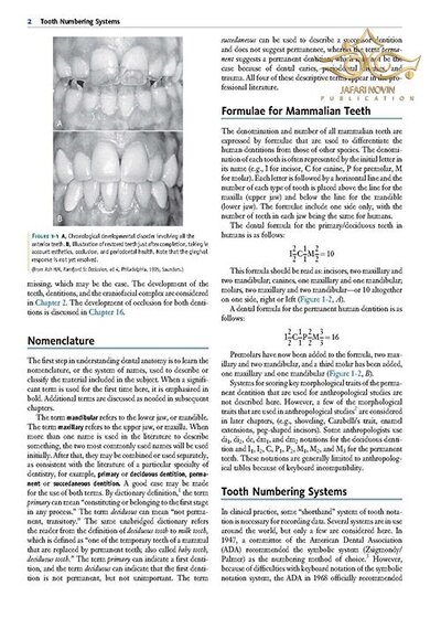 Wheeler's Dental Anatomy, Physiology and Occlusion فیزیولوژی و آناتومی ویلر