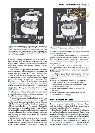 Wheeler's Dental Anatomy, Physiology and Occlusion فیزیولوژی و آناتومی ویلر