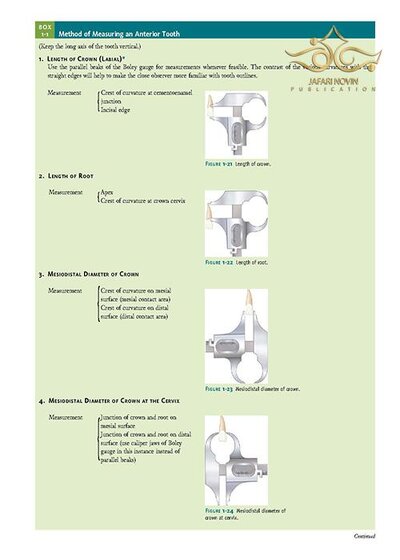 Wheeler's Dental Anatomy, Physiology and Occlusion فیزیولوژی و آناتومی ویلر