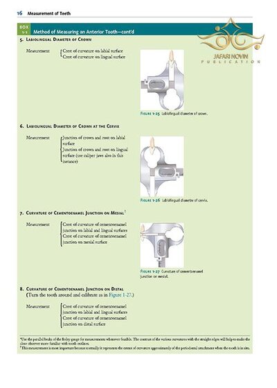 Wheeler's Dental Anatomy, Physiology and Occlusion فیزیولوژی و آناتومی ویلر