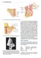 Wheeler's Dental Anatomy, Physiology and Occlusion فیزیولوژی و آناتومی ویلر