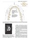 Wheeler's Dental Anatomy, Physiology and Occlusion فیزیولوژی و آناتومی ویلر