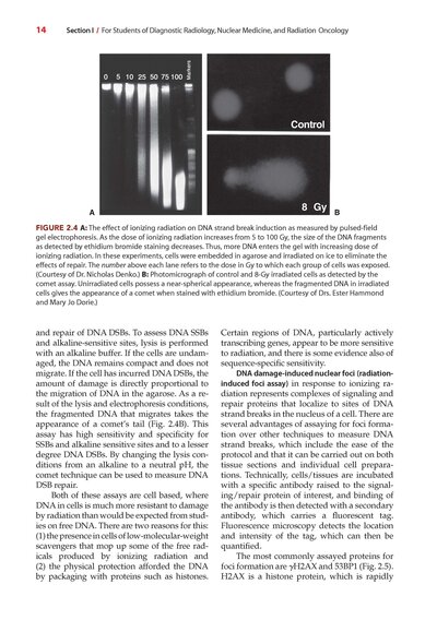 Radiobiology for the Radiologist