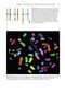 Radiobiology for the Radiologist