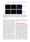 Radiobiology for the Radiologist