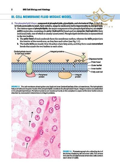 BRS Cell Biology and Histology (Board Review Series) Eighth Edition2019