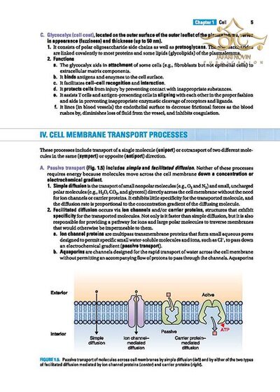 BRS Cell Biology and Histology (Board Review Series) Eighth Edition2019