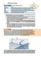 BRS Cell Biology and Histology (Board Review Series) Eighth Edition2019
