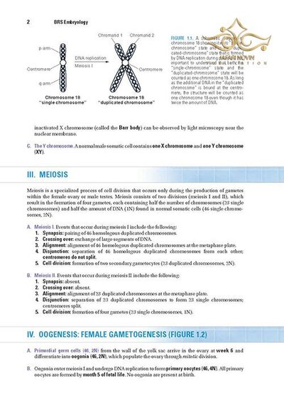 BRS Embryology (Board Review Series) Sixth Edition BRS