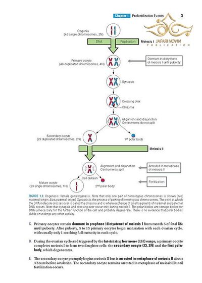 BRS Embryology (Board Review Series) Sixth Edition BRS