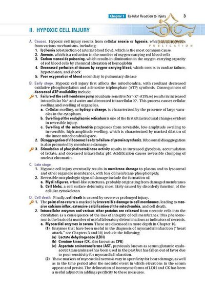 BRS Pathology (Board Review Series) Fifth, North American Edition