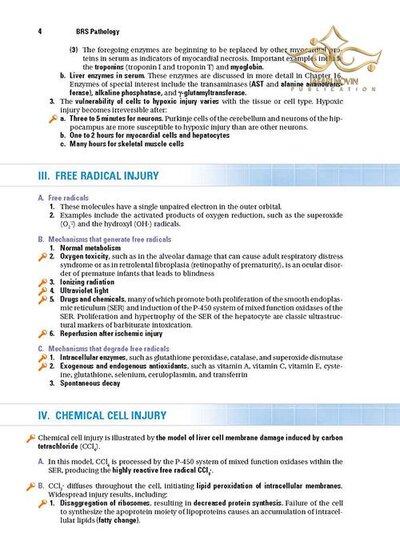 BRS Pathology (Board Review Series) Fifth, North American Edition