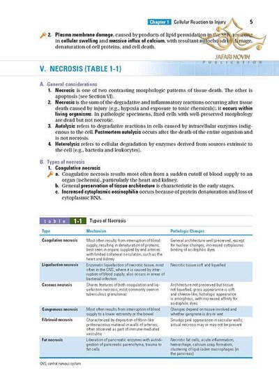 BRS Pathology (Board Review Series) Fifth, North American Edition