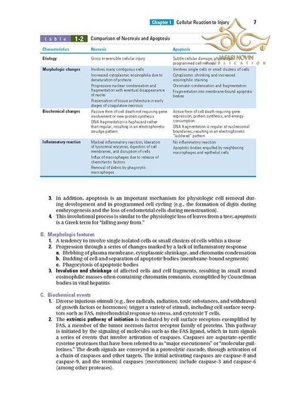 BRS Pathology (Board Review Series) Fifth, North American Edition