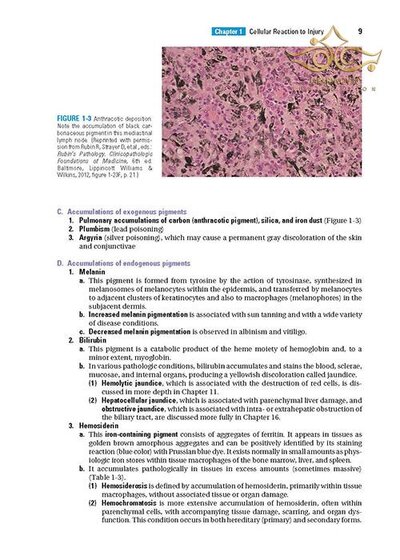 BRS Pathology (Board Review Series) Fifth, North American Edition