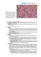 BRS Pathology (Board Review Series) Fifth, North American Edition
