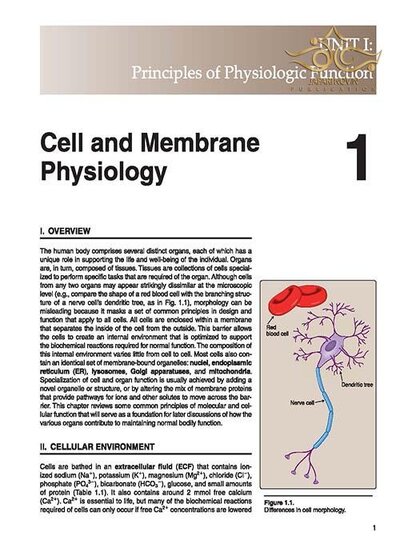 Lippincott® Illustrated Reviews: Physiology (Lippincott Illustrated Reviews Series) 2019 Second, North American Edition