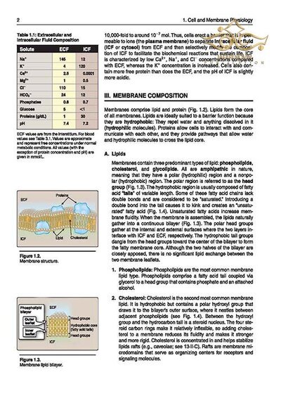 Lippincott® Illustrated Reviews: Physiology (Lippincott Illustrated Reviews Series) 2019 Second, North American Edition