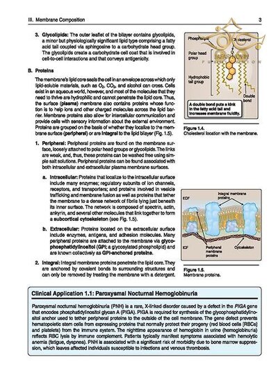 Lippincott® Illustrated Reviews: Physiology (Lippincott Illustrated Reviews Series) 2019 Second, North American Edition