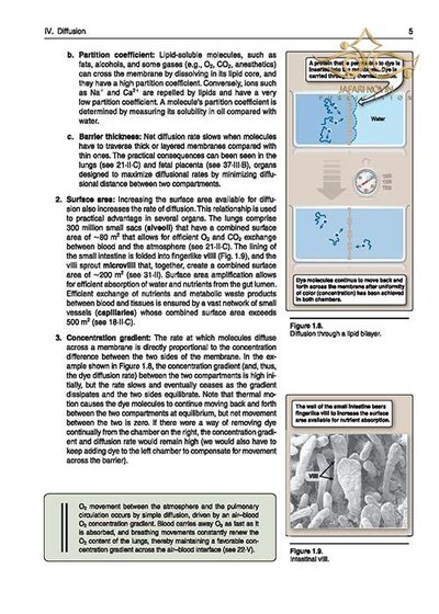Lippincott® Illustrated Reviews: Physiology (Lippincott Illustrated Reviews Series) 2019 Second, North American Edition