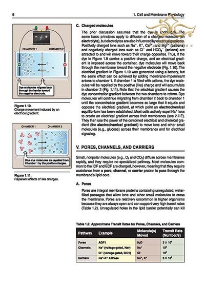 Lippincott® Illustrated Reviews: Physiology (Lippincott Illustrated Reviews Series) 2019 Second, North American Edition
