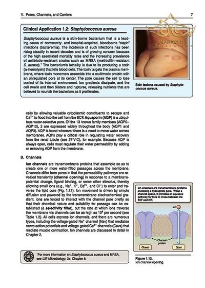 Lippincott® Illustrated Reviews: Physiology (Lippincott Illustrated Reviews Series) 2019 Second, North American Edition