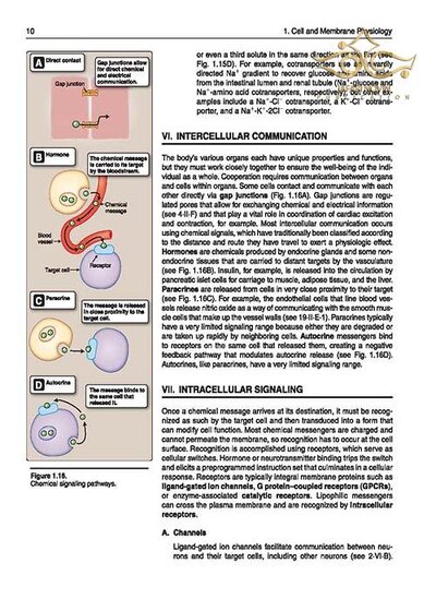 Lippincott® Illustrated Reviews: Physiology (Lippincott Illustrated Reviews Series) 2019 Second, North American Edition