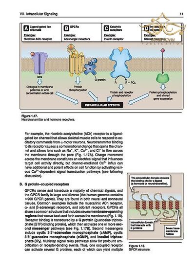 Lippincott® Illustrated Reviews: Physiology (Lippincott Illustrated Reviews Series) 2019 Second, North American Edition