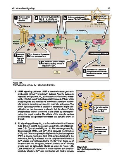 Lippincott® Illustrated Reviews: Physiology (Lippincott Illustrated Reviews Series) 2019 Second, North American Edition
