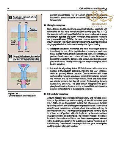 Lippincott® Illustrated Reviews: Physiology (Lippincott Illustrated Reviews Series) 2019 Second, North American Edition
