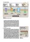 Lippincott® Illustrated Reviews: Physiology (Lippincott Illustrated Reviews Series) 2019 Second, North American Edition