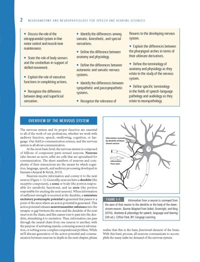 Neuroanatomy and Neurophysiology for Speech and Hearing Sciences2018