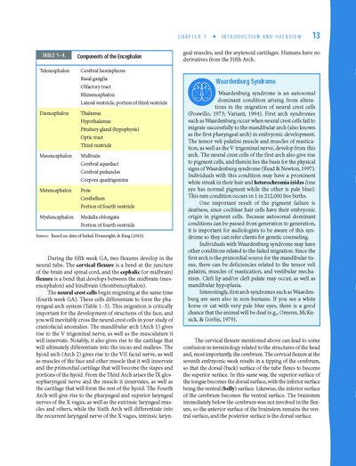 Neuroanatomy and Neurophysiology for Speech and Hearing Sciences2018
