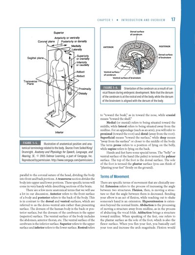 Neuroanatomy and Neurophysiology for Speech and Hearing Sciences2018
