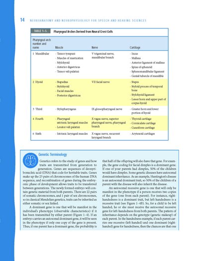 Neuroanatomy and Neurophysiology for Speech and Hearing Sciences2018