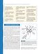 Neuroanatomy and Neurophysiology for Speech and Hearing Sciences2018