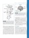 Neuroanatomy and Neurophysiology for Speech and Hearing Sciences2018