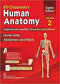 دانلود کتاب BD Chaurasia’s Human Anatomy: Volume 2, 8th Edition2019