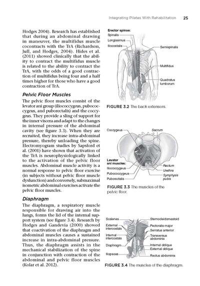 Pilates for Rehabilitation