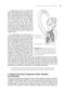 Pilates for Rehabilitation