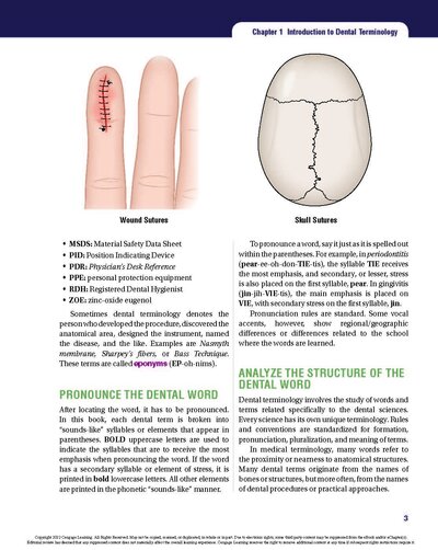 Dental Terminology 2021