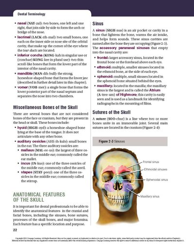 Dental Terminology 2021