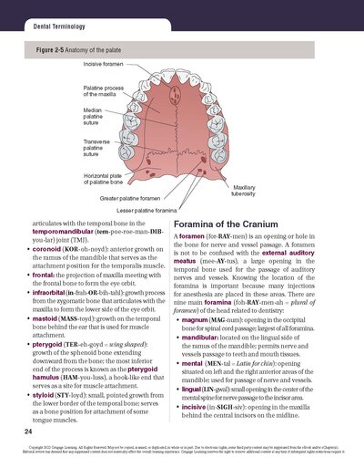 Dental Terminology 2021