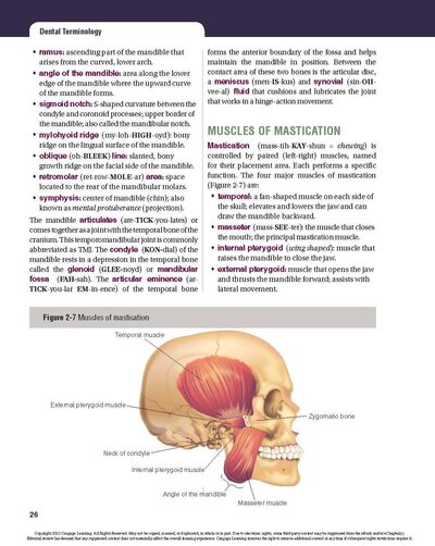Dental Terminology 2021