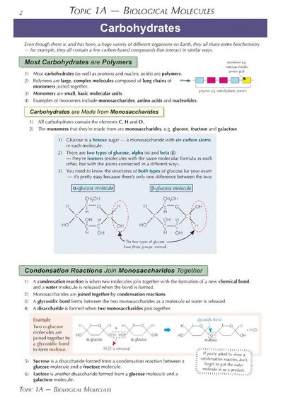A-Level Biology: AQA Year 1 & 2 Complete