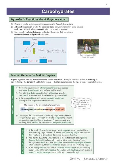 A-Level Biology: AQA Year 1 & 2 Complete